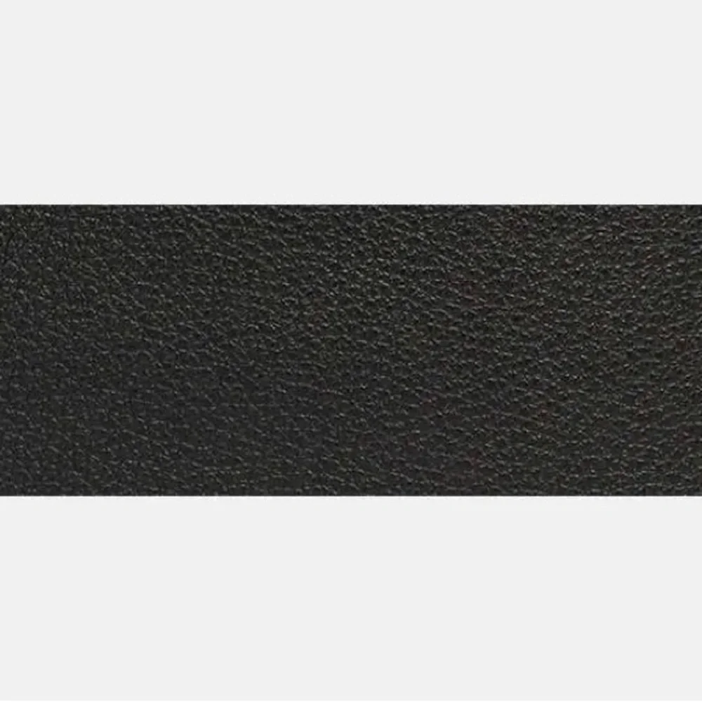 Coach great interior 13